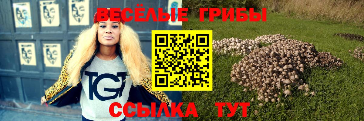 Псилоцибиновые грибы GOLDEN TEACHER  Вход с VPN  даркнет сайт  Серов 