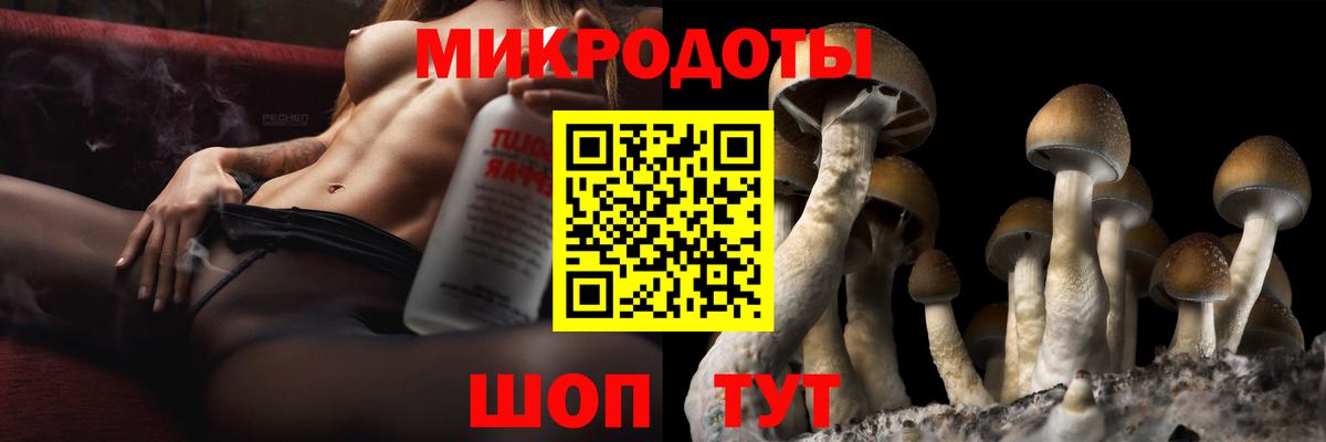 Псилоцибиновые грибы Psilocybe Серов